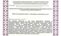 Городская клиническая больница № 25. Акушерско-гинекологическая служба