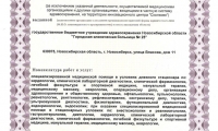 Городская клиническая больница № 25. Терапевтическая Служба